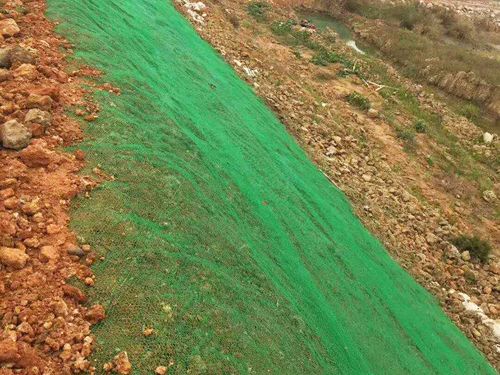 某工地防塵三維植被網覆蓋現(xiàn)場